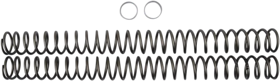 Race Tech Fork Spring 0.40 kg/mm Pair