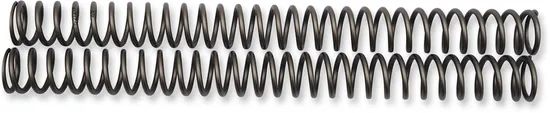 Race Tech Fork Spring 0.46 kg/mm Pair