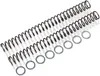 Race Tech Fork Spring 0.52 kg/mm Pair