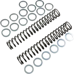 Race Tech Fork Spring 0.85 kg/mm Pair