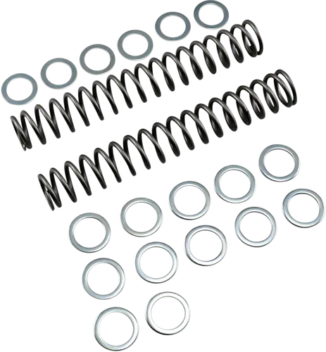 Race Tech Fork Spring 0.90 kg/mm Pair 1