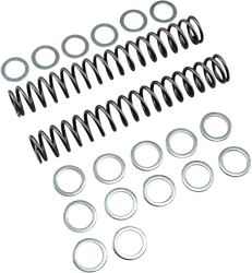 Race Tech Fork Spring 0.90 kg/mm Pair