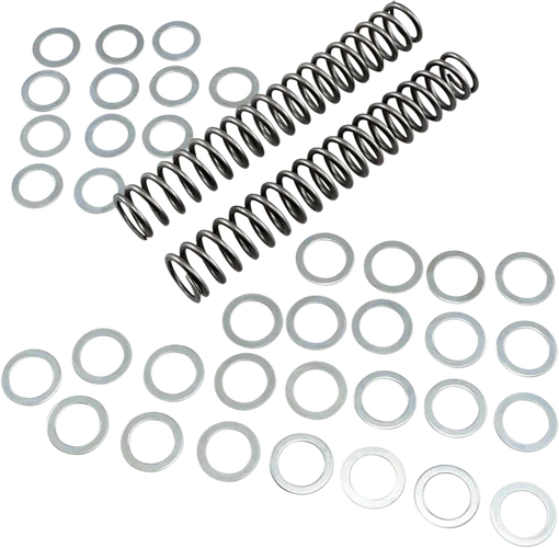 Race Tech Fork Spring 1.00 kg/mm Pair