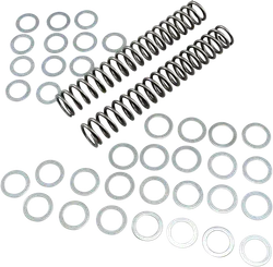 Race Tech Fork Spring 1.00 kg/mm Pair