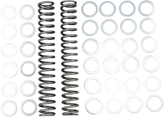 Race Tech Fork Spring 1.20 kg/mm Pair