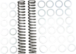 Race Tech Fork Spring 1.20 kg/mm Pair