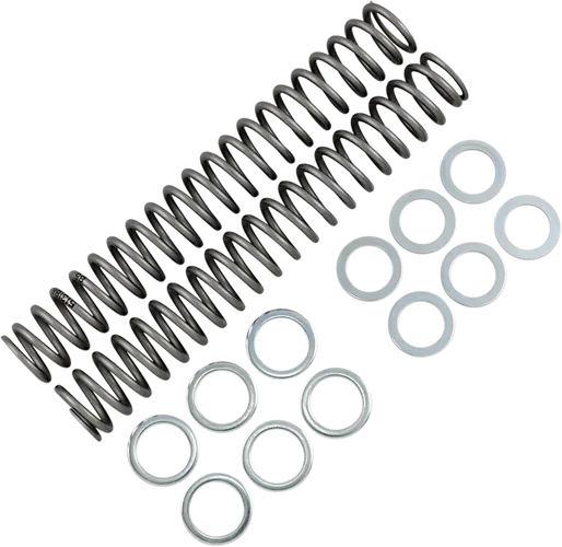 Race Tech Fork Spring 0.85 kg/mm Pair