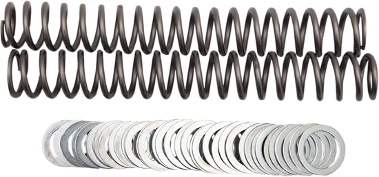Race Tech Fork Spring 0.95 kg/mm Pair