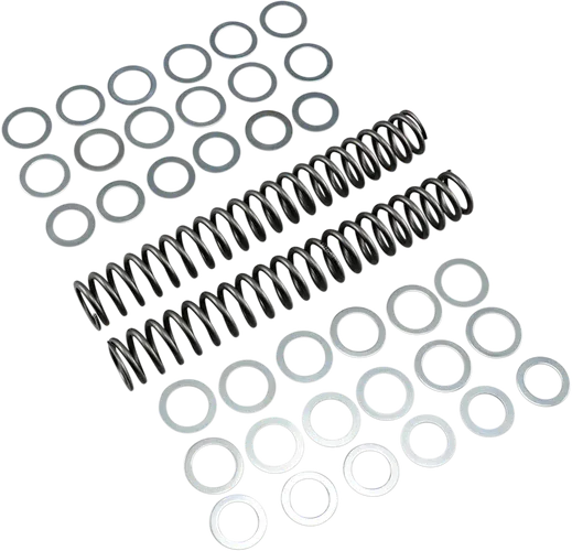 Race Tech Fork Spring 1.00 kg/mm Pair