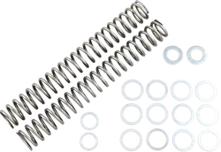 Race Tech Fork Spring 0.90 kg/mm Pair