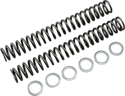 Race Tech Fork Spring 1.00 kg/mm Pair