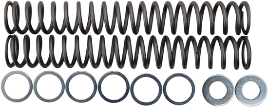 Race Tech Fork Spring 1.10 kg/mm Pair