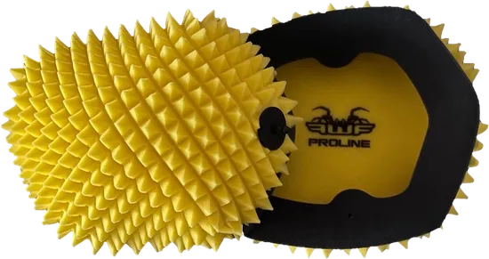 FunnelWeb Proline Air Filter