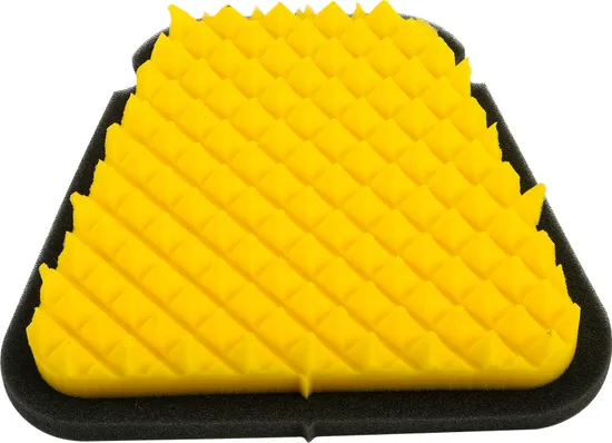 FunnelWeb Proline Air Filter