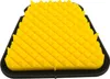 FunnelWeb Proline Air Filter