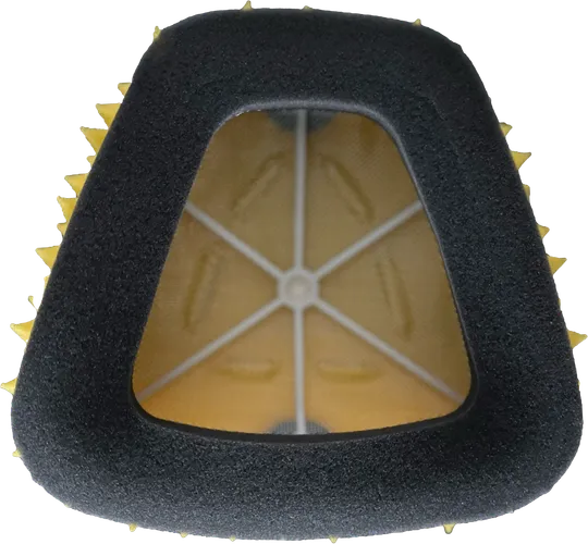 FunnelWeb Proline Air Filter