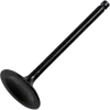 Hot Cams Steel Intake Valve for