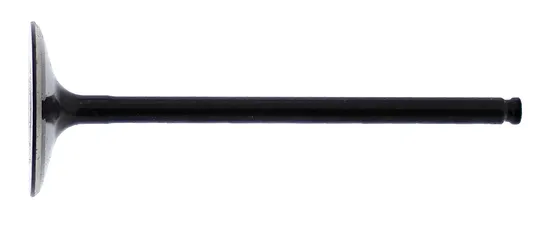 Hot Cams Steel Intake Valve for