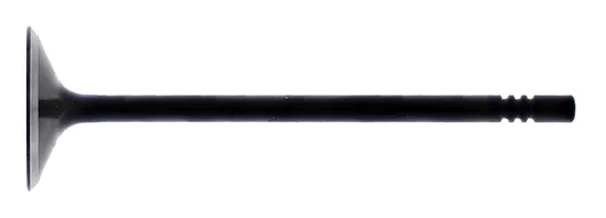 Hot Cams Steel Intake Valve for