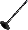 Hot Cams Steel Intake Valve for