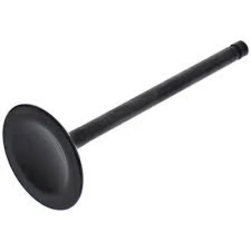 Hot Cams Steel Intake Valve for