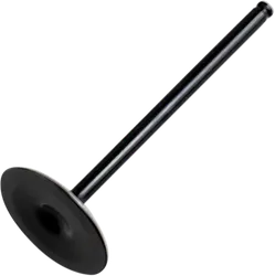 Hot Cams Steel Intake Valve for
