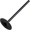 Hot Cams Steel Intake Valve for
