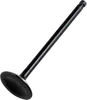 Hot Cams Steel Intake Valve for