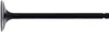 Hot Cams Steel Intake Valve for