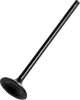 Hot Cams Steel Intake Valve for
