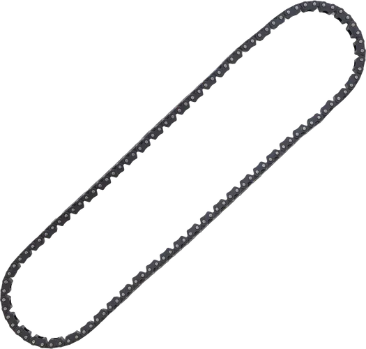 Hot Cams Cam Shaft Timing Chain