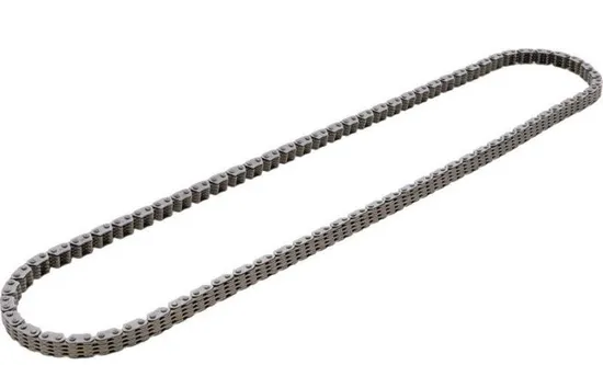 Hot Cams Cam Shaft Timing Chain 2