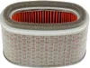 Hiflofiltro Replacement Premium Paper Air Filter