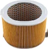 Hiflofiltro Replacement Premium Paper Air Filter