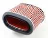 Hiflofiltro Replacement Premium Paper Air Filter