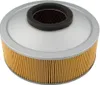 Hiflofiltro Replacement Premium Paper Air Filter