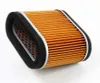 Hiflofiltro Replacement Premium Paper Air Filter