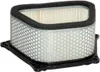 Hiflofiltro Replacement Premium Paper Air Filter