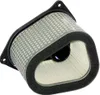 Hiflofiltro Replacement Premium Paper Air Filter
