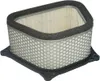 Hiflofiltro Replacement Premium Paper Air Filter