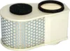 Hiflofiltro Replacement Premium Paper Air Filter