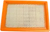 Hiflofiltro Replacement Premium Paper Air Filter