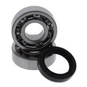 Hot Rods Counter Balancer Bearing Kit