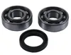 Hot Rods Counter Balancer Bearing Kit