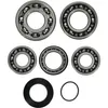 Hot Rods Transmission Bearing Kit