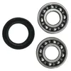 Hot Rods Counter Balancer Bearing Kit