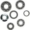 Hot Rods Transmission Bearing Kit