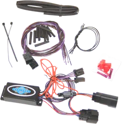 Badlands Dynamic Sequential Light Module