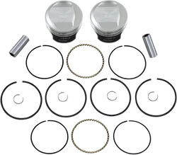 Wiseco Tracker Piston Kit Evo Dome 101
