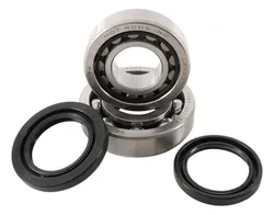 Hot Rods Crankshaft Main Bearing Kit TRX450R ER